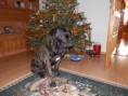 /album/fotogaleria-fotogaleria/amos-1-jpg/